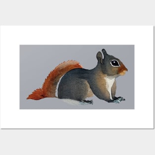 Simple Squirrel in Watercolor Posters and Art